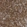 Anti-VAPA Antibody