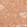 Anti-TACR3 Antibody