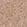 Anti-TACR3 Antibody