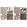Anti-CANX Antibody