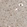 Anti-CANX Antibody