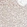 Anti-CNMD Antibody