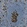 Anti-KIF11 Antibody
