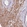 Anti-SYT4 Antibody