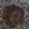 Anti-CD74 Antibody