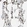 Anti-CD74 Antibody