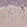 Anti-PIANP Antibody