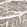Anti-PRRG2 Antibody