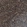 Anti-FXYD5 Antibody