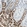 Anti-LETM1 Antibody