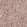 Anti-SIRT2 Antibody
