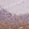 Anti-SIRT2 Antibody