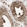 Anti-MANF Antibody