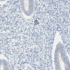Immunohistochemical staining of human endometrium shows low expression as expected.