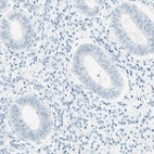 Immunohistochemical staining of human endometrium shows low expression as expected.