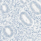 Immunohistochemical staining of human endometrium shows low expression as expected.