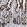 Anti-CASP6 Antibody