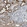 Anti-MTX1 Antibody