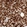 Anti-PARP4 Antibody