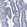 Anti-TCEAL9 Antibody