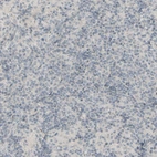 Immunohistochemical staining of human lymph node shows no positivity in non-germinal center cells as expected.