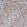 Anti-PRR12 Antibody
