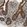 Anti-TNIK Antibody