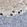 Anti-NOCT Antibody