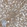 Anti-FMO5 Antibody
