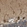 Anti-LRCH3 Antibody