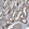 Anti-BTN3A1 Antibody