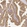 Anti-AZGP1 Antibody