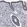 Anti-FKBP9 Antibody