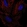 Anti-GLT8D2 Antibody