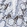 Anti-PLD3 Antibody