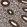 Anti-VCP Antibody