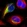 Anti-IGSF10 Antibody