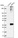 Anti-GPR78 Antibody