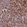 Anti-CD300LF Antibody
