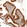 Anti-KIAA1551 Antibody