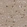 Anti-ZBTB46 Antibody