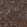 Anti-TMED2 Antibody