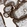 Anti-ENTPD1 Antibody