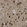 Anti-KCTD10 Antibody
