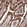 Anti-COX6C Antibody