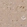 Anti-COX6C Antibody