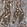 Anti-ZDHHC20 Antibody