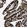 Anti-FZD10 Antibody