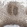 Anti-ZDHHC5 Antibody