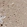 Anti-ZNF599 Antibody